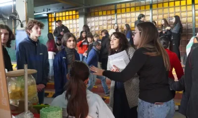 Feria Distrital Merlo